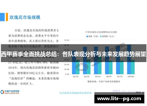 西甲赛季全面挑战总结：各队表现分析与未来发展趋势展望