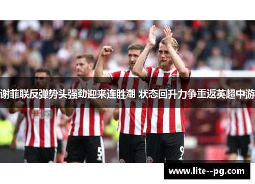 谢菲联反弹势头强劲迎来连胜潮 状态回升力争重返英超中游
